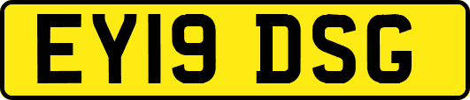 EY19DSG