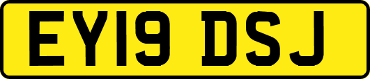 EY19DSJ