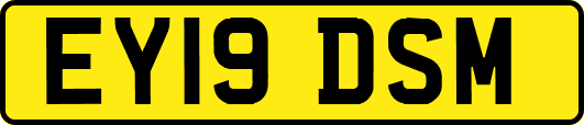EY19DSM
