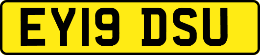 EY19DSU
