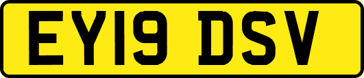 EY19DSV