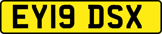 EY19DSX