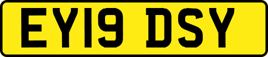 EY19DSY