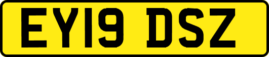 EY19DSZ