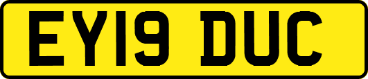 EY19DUC