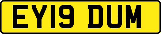 EY19DUM