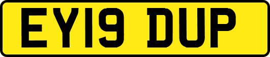 EY19DUP