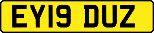 EY19DUZ