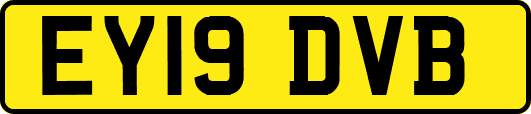 EY19DVB