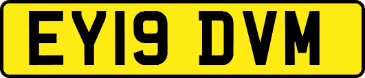 EY19DVM