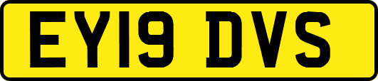 EY19DVS