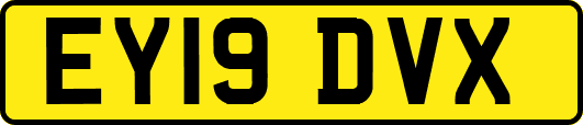 EY19DVX