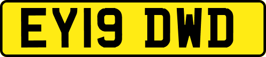 EY19DWD