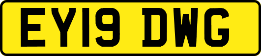 EY19DWG