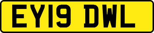 EY19DWL