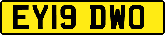EY19DWO