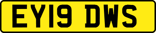 EY19DWS