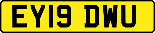 EY19DWU