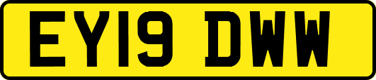 EY19DWW