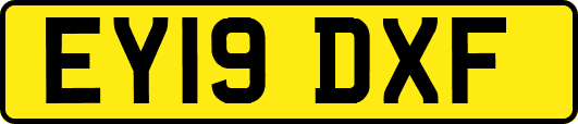 EY19DXF