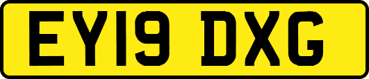 EY19DXG