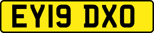 EY19DXO