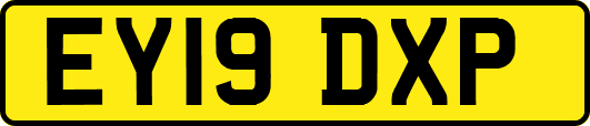 EY19DXP