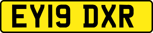 EY19DXR