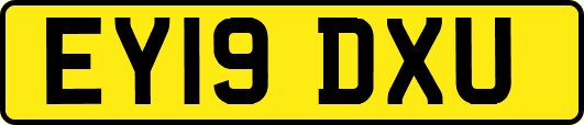 EY19DXU