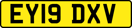 EY19DXV