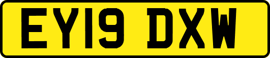 EY19DXW