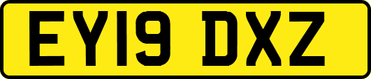 EY19DXZ