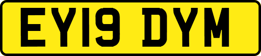 EY19DYM