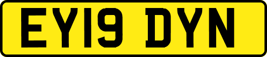 EY19DYN