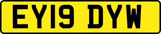 EY19DYW