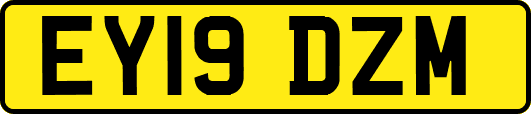 EY19DZM