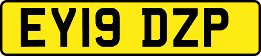 EY19DZP
