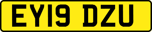 EY19DZU