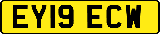 EY19ECW