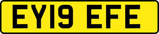 EY19EFE