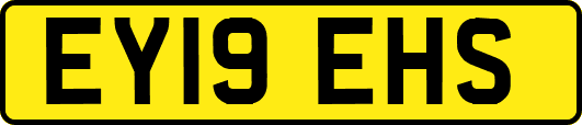 EY19EHS