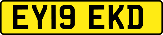 EY19EKD