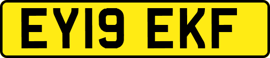 EY19EKF