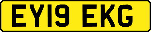 EY19EKG