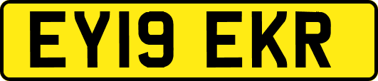EY19EKR