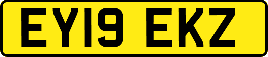 EY19EKZ