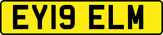 EY19ELM