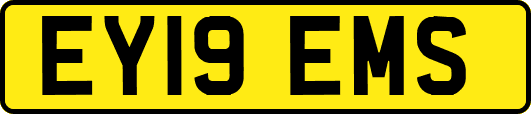 EY19EMS