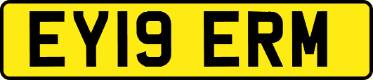 EY19ERM