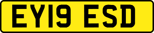 EY19ESD